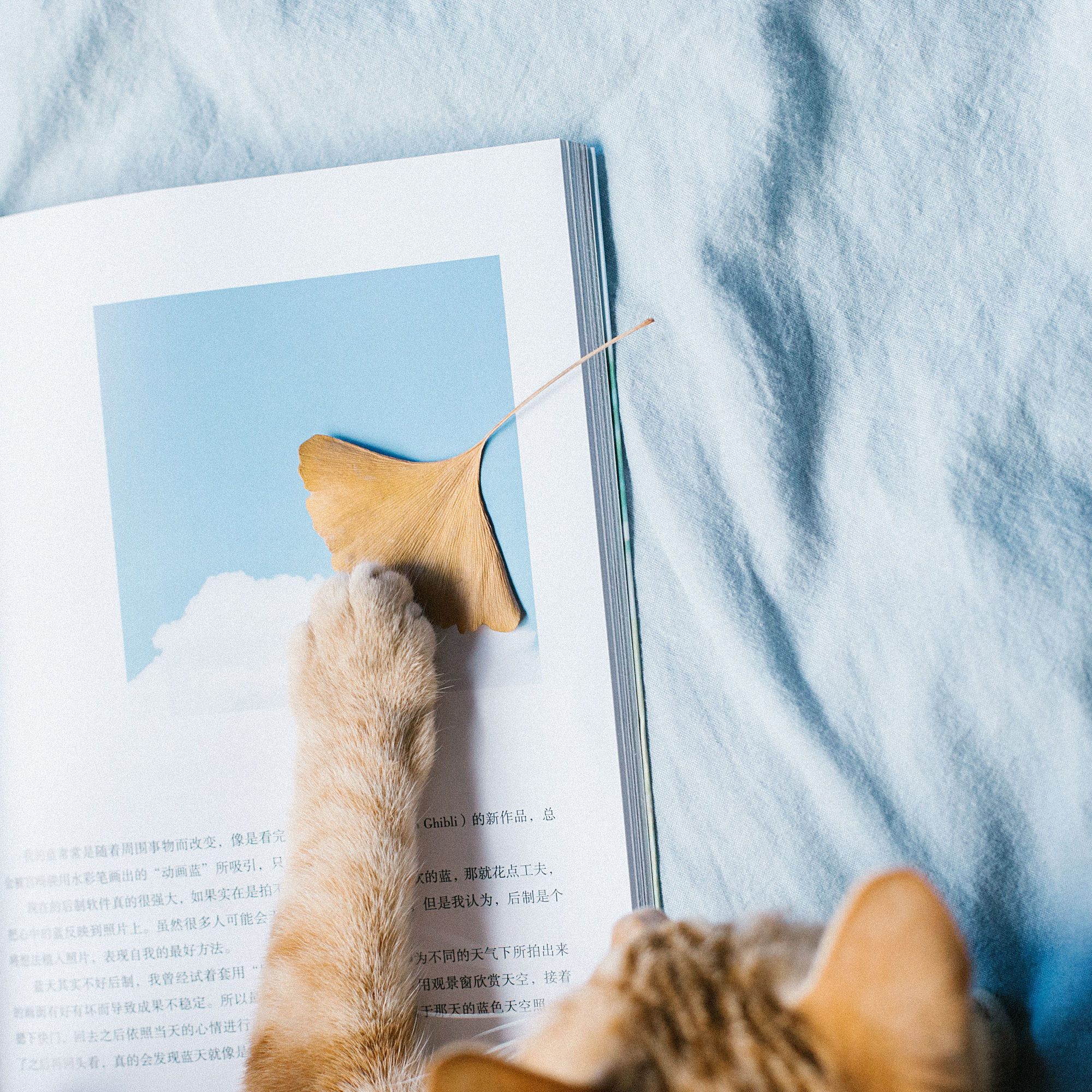 微信相册封面图片霸气励志,微信相册封面图片尺寸是多少