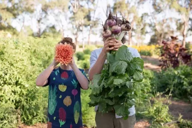 回归田园梦想中的生活,回归田园过上简单生活