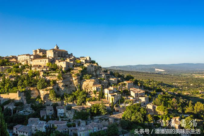 来自普罗旺斯的薰衣草,普罗旺斯薰衣草的味道