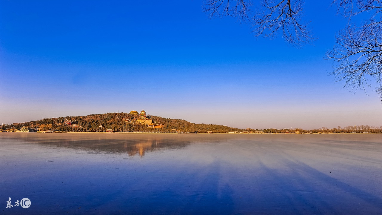 2030本命年生肖狗运势,生肖狗女本命年应该注意什么