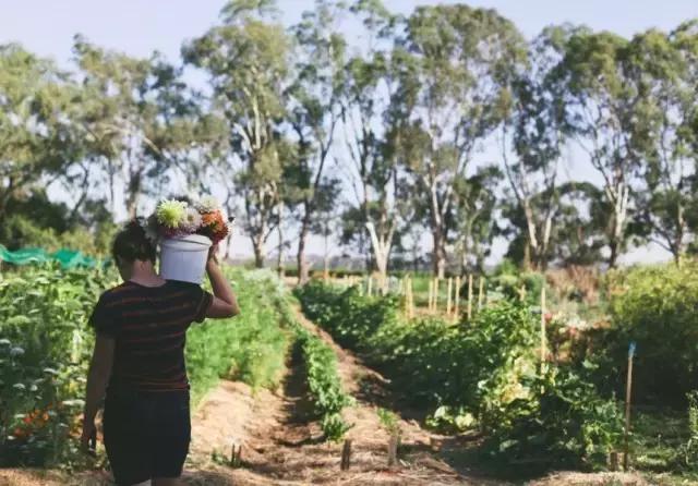 回归田园梦想中的生活,回归田园过上简单生活
