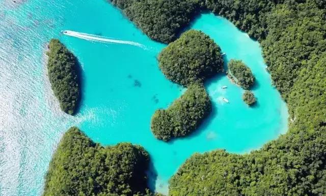 帕劳旅游攻略详解,帕劳旅游攻略六天