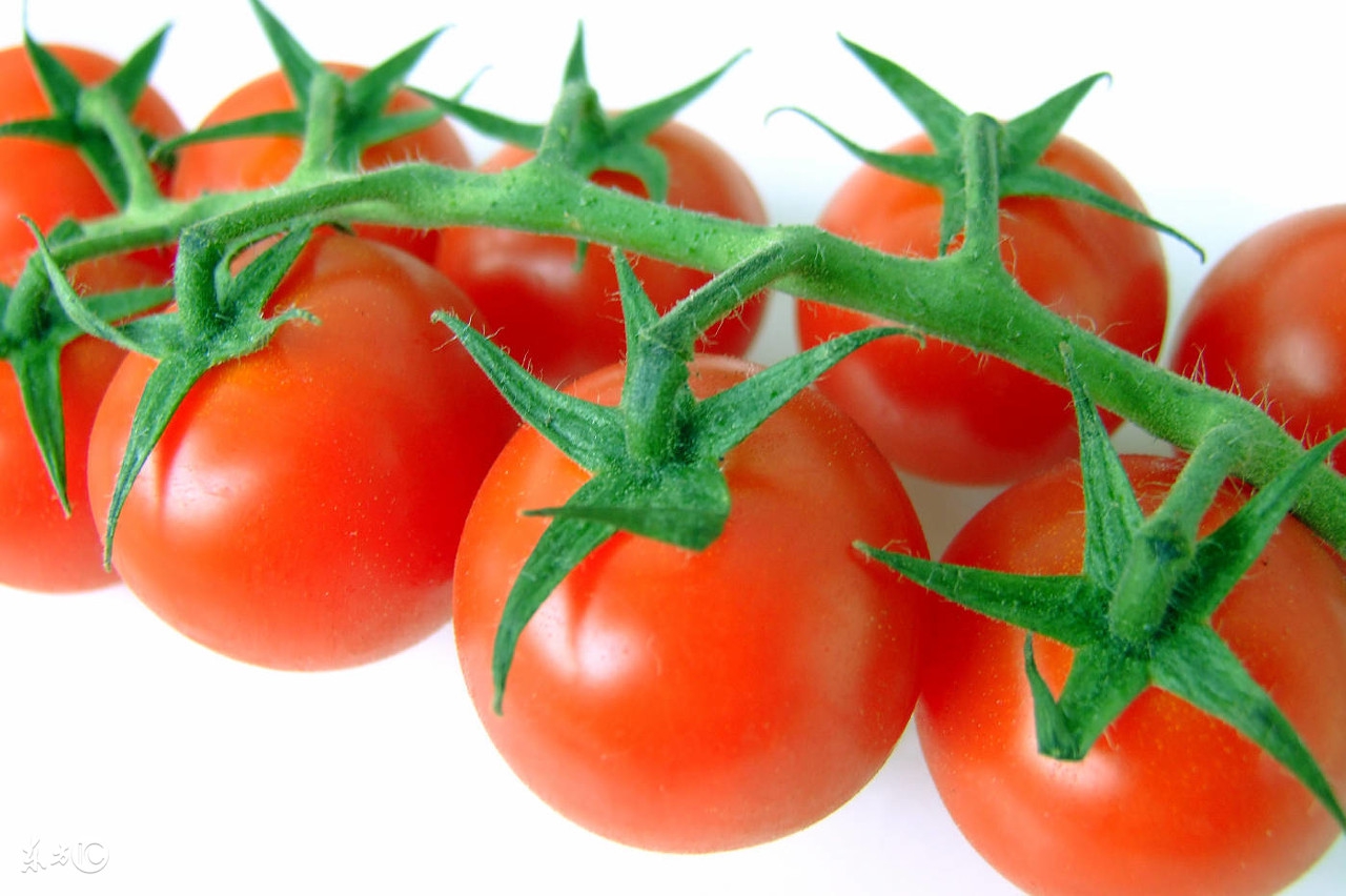 男性预防乳腺癌的最好方法,前列腺的克星食物海参