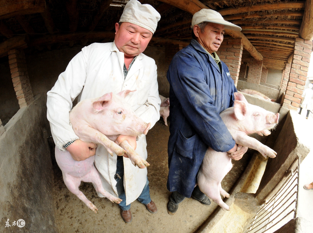 环境保护税从哪一年开始正式实施,环境保护税法从什么时候开始实施