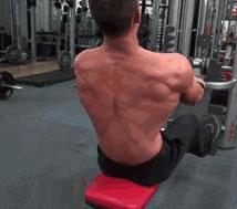 如何练出迷人蝴蝶背,美体美背计划