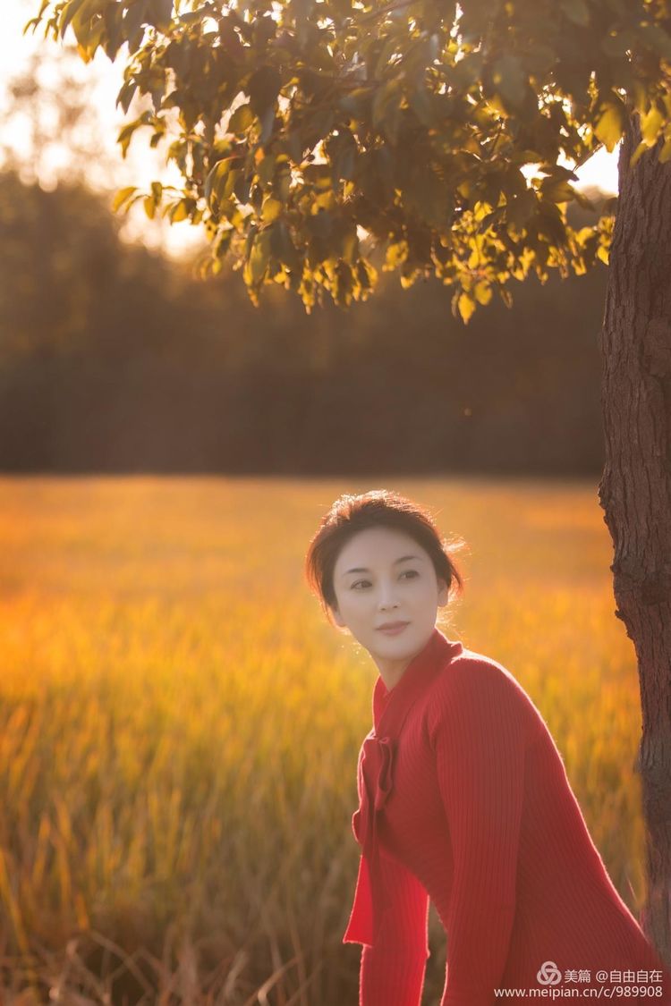 十里稻花香的全诗,十里稻花香的上一句