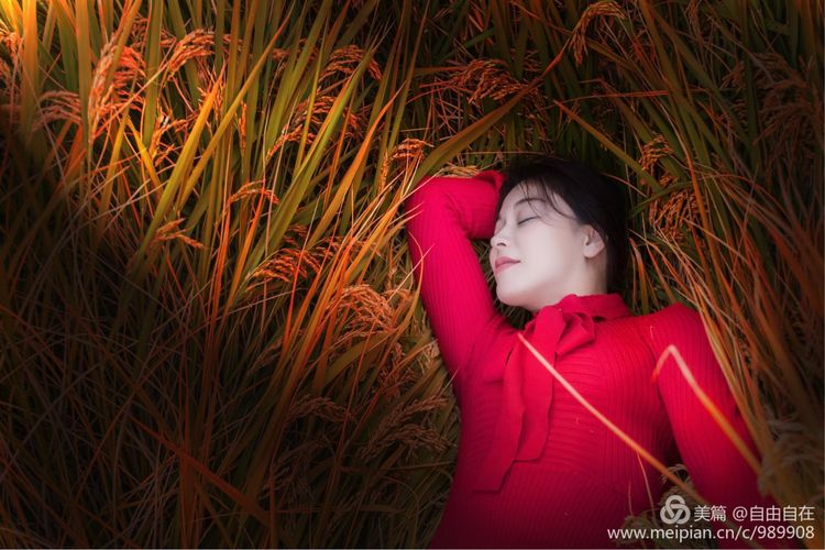 十里稻花香的全诗,十里稻花香的上一句