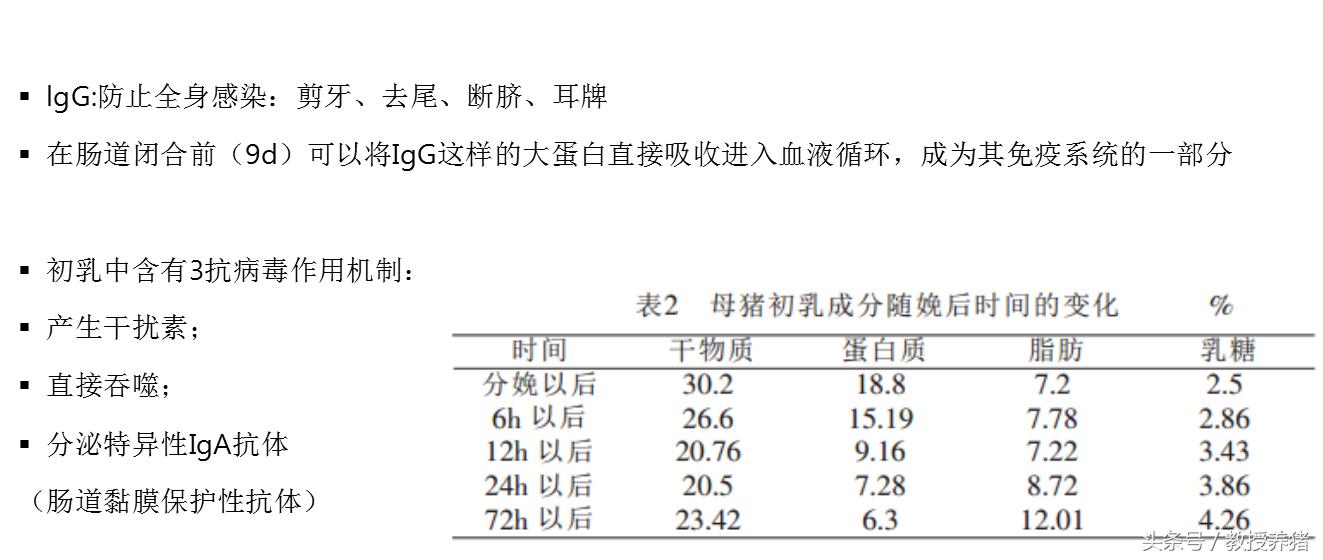 猪场母猪产床图片,母猪产舍