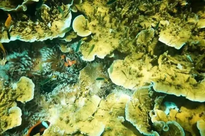 帕劳旅行全攻略,帕劳旅行攻略最佳方案