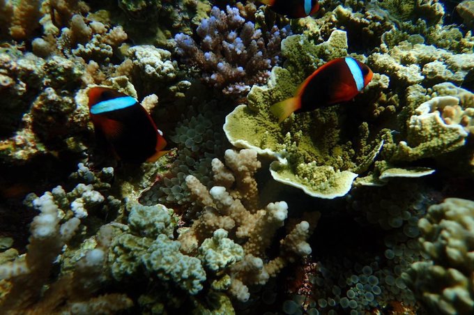 帕劳旅行全攻略,帕劳旅行攻略最佳方案