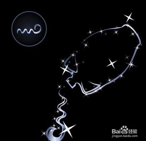 狮子星座最喜欢的礼物,12星座的专属礼物