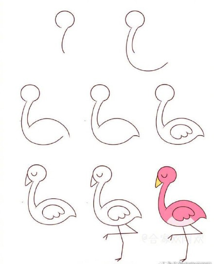 十种鸟类简笔画你看过吗？孔雀鸵鸟猫头鹰都在这里，快收藏教孩子