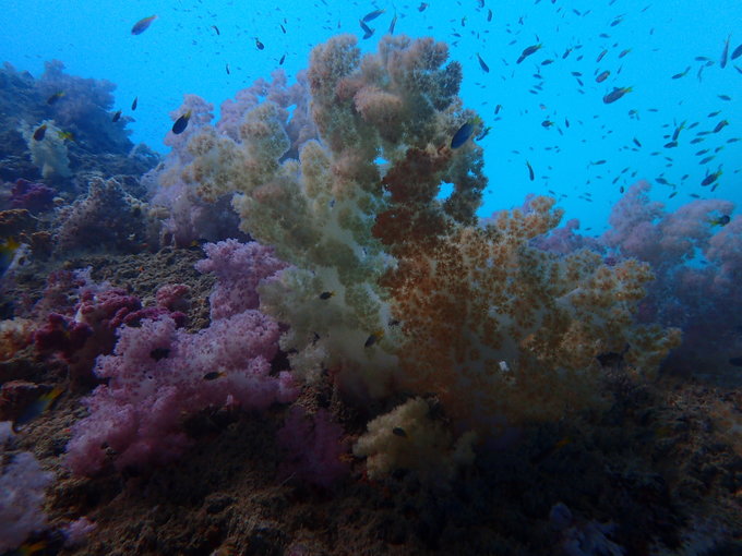 帕劳旅行全攻略,帕劳旅行攻略最佳方案