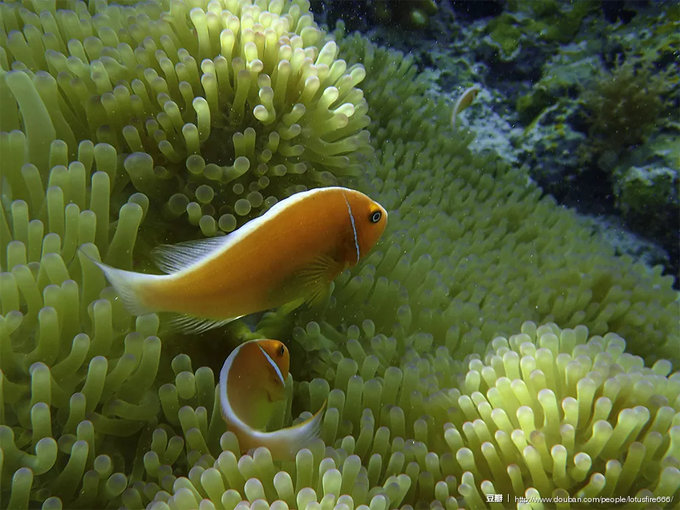 帕劳旅行全攻略,帕劳旅行攻略最佳方案