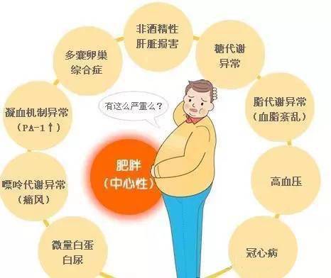 减肥内脂怎么减,减肥有减内脂脂肪的吗