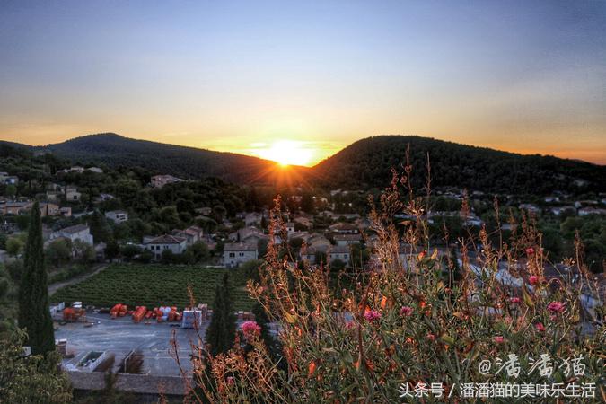 来自普罗旺斯的薰衣草,普罗旺斯薰衣草的味道