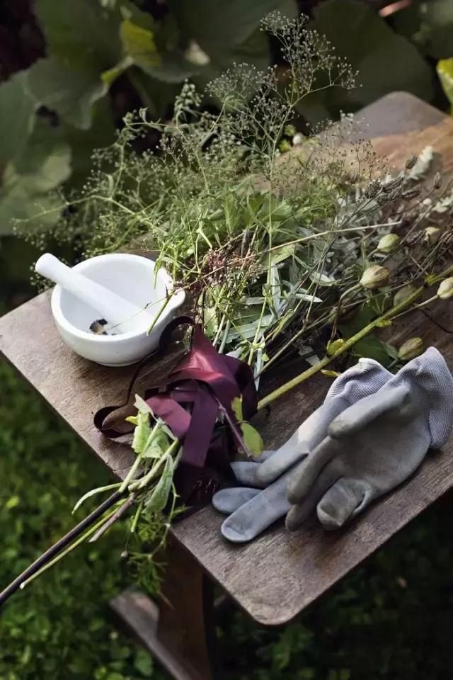 回归田园梦想中的生活,回归田园过上简单生活