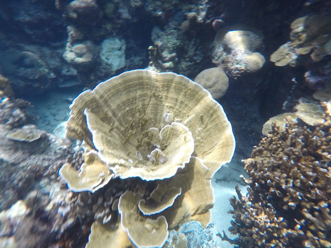 帕劳旅行全攻略,帕劳旅行攻略最佳方案