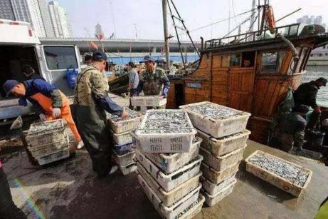 科普厦门海鲜市场,厦门哪里海鲜批发市场海鲜便宜