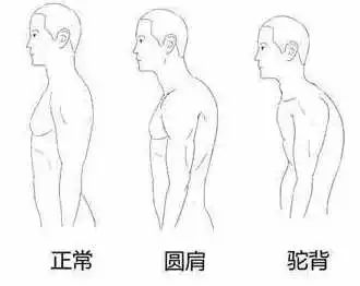 男生什么样的身材显高,腿短男生穿什么显高