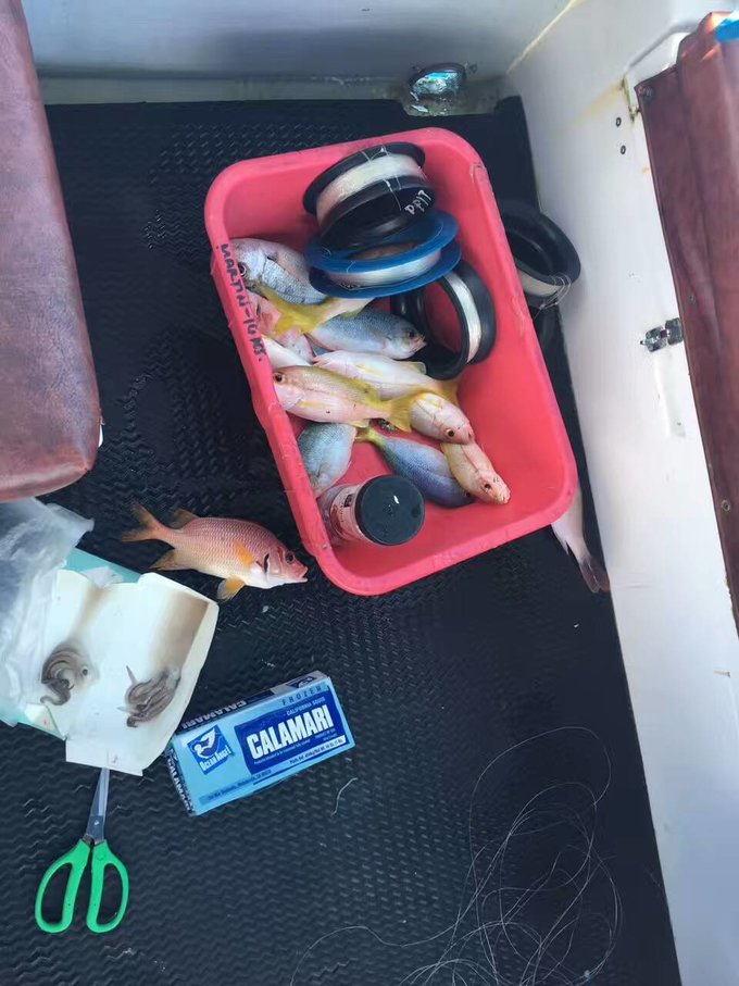 帕劳旅行全攻略,帕劳旅行攻略最佳方案