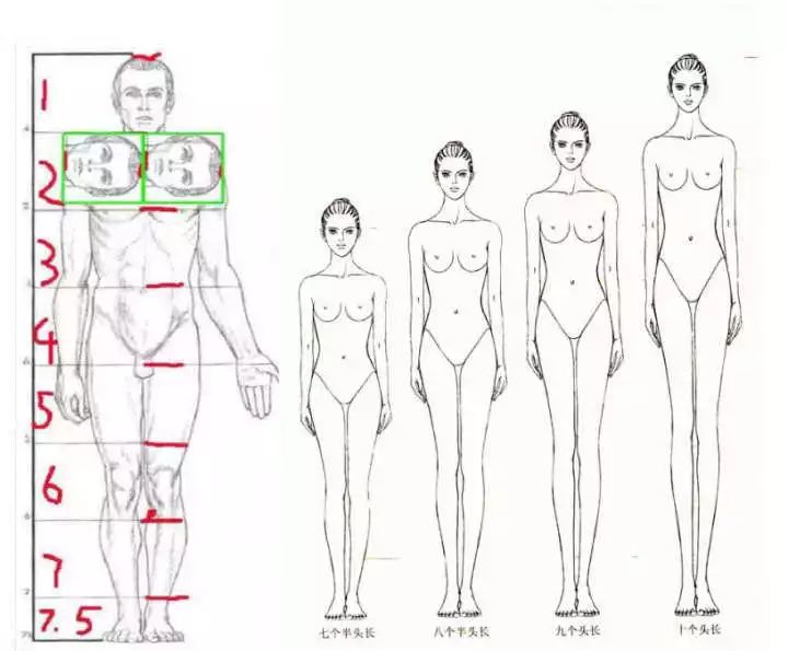 男生什么样的身材显高,腿短男生穿什么显高