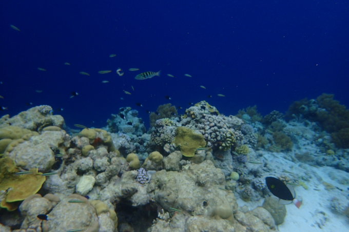 帕劳旅行全攻略,帕劳旅行攻略最佳方案