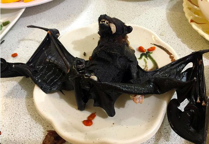 帕劳旅行全攻略,帕劳旅行攻略最佳方案