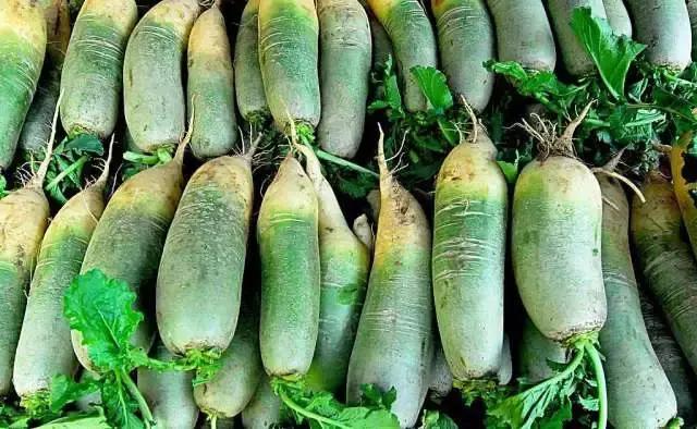 秋吃萝卜胜过人参,冬吃白萝卜赛过人参