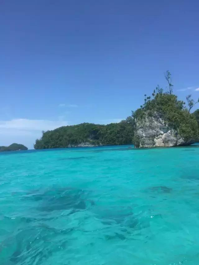 帕劳归来不看海视频,帕劳归来不看海