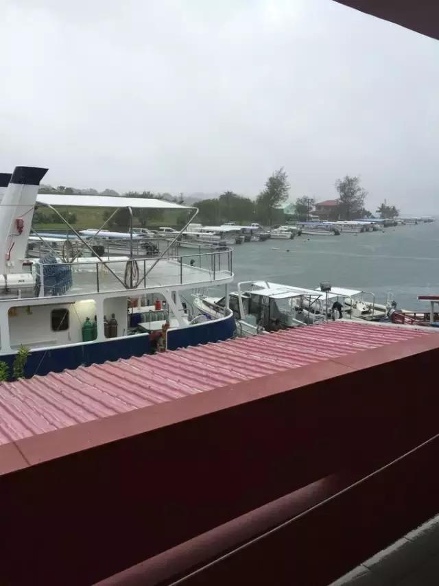 帕劳归来不看海视频,帕劳归来不看海