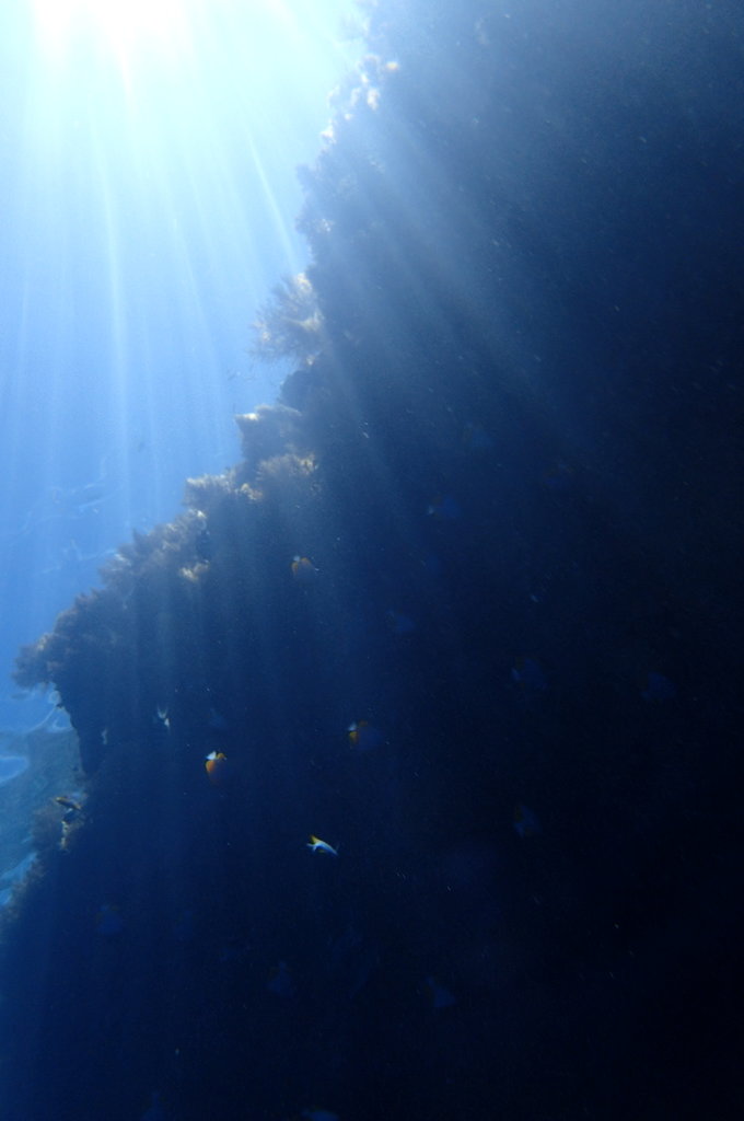 帕劳旅行全攻略,帕劳旅行攻略最佳方案