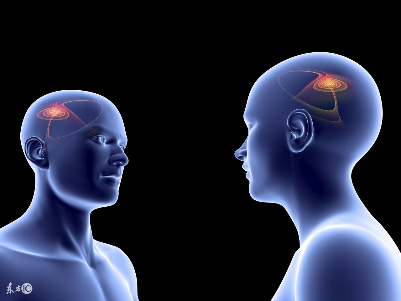 电商运营电商干货全套知识,电商运营干货八大电商模式