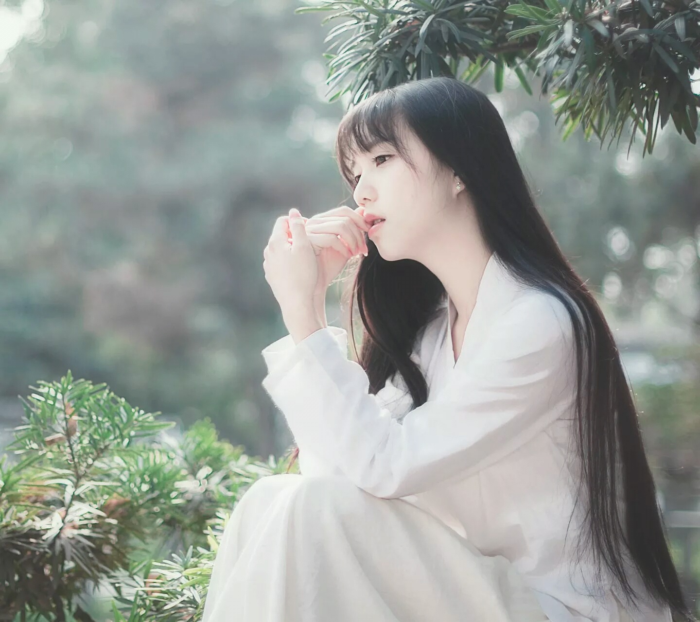 唐七公子和华胥,唐七公子华胥引全文阅读