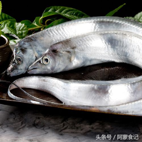 饭店蒸带鱼,清蒸带鱼探店