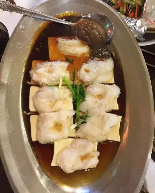 帕劳归来不看海视频,帕劳归来不看海