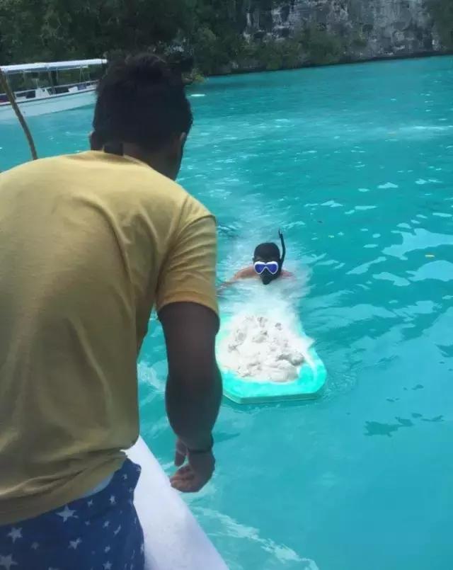 帕劳归来不看海视频,帕劳归来不看海