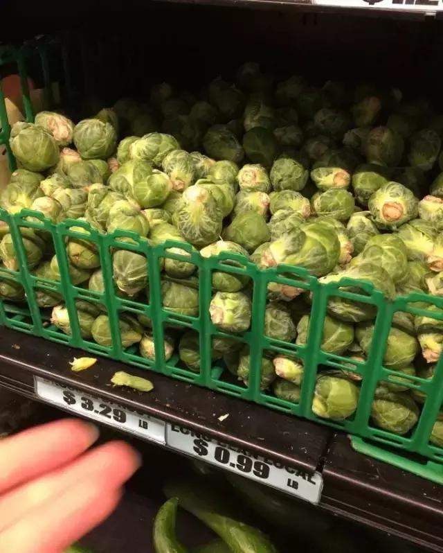 帕劳归来不看海视频,帕劳归来不看海