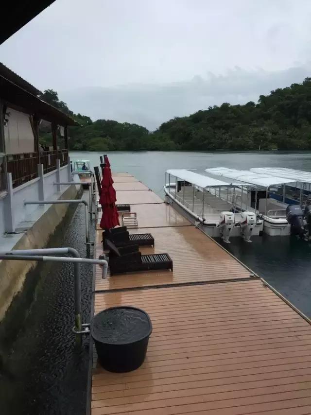 帕劳归来不看海视频,帕劳归来不看海