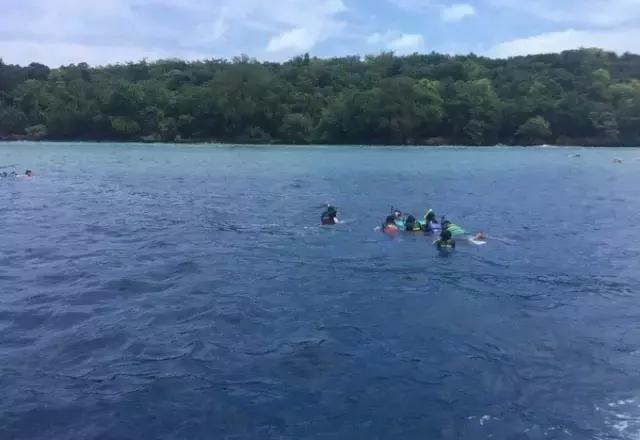 帕劳归来不看海视频,帕劳归来不看海