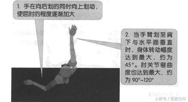 仰泳的正确泳姿教学视频,仰泳的正确泳姿完整慢动作