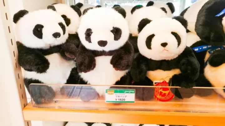 元旦｜做一个现代白领在「日本新年」来临前的谜之淡定