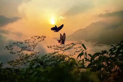 笠翁对韵上下卷全文朗读视频,笠翁对韵上下卷朗诵