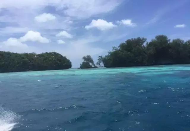 帕劳归来不看海视频,帕劳归来不看海