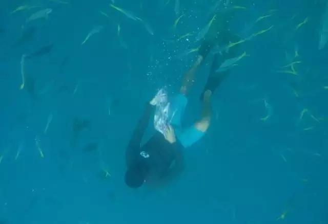 帕劳归来不看海视频,帕劳归来不看海