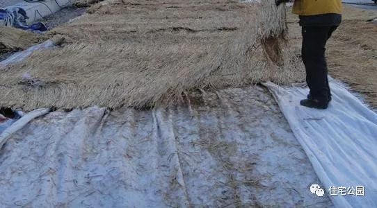 农村自建房一层顶用什么混凝土,混凝土盖房跟砖盖房哪个更好