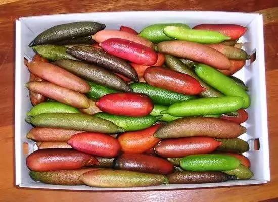 这三种水果你吃过了吗,这7种水果你吃过吗