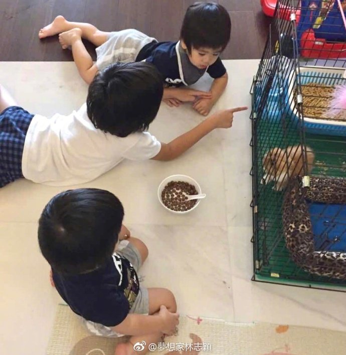 李易峰要翻拍放羊的星星吗,放羊的星星翻拍新版对比