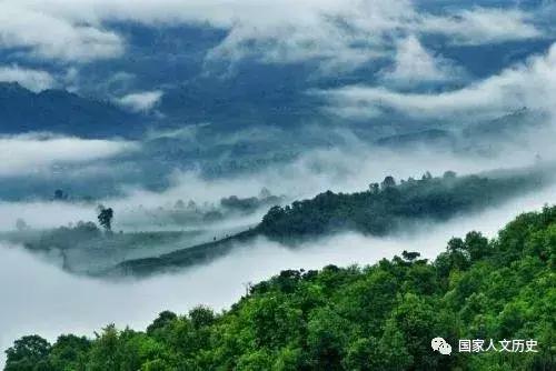 2004六大茶山壹角版普洱茶,2016年六大茶山易武普洱茶