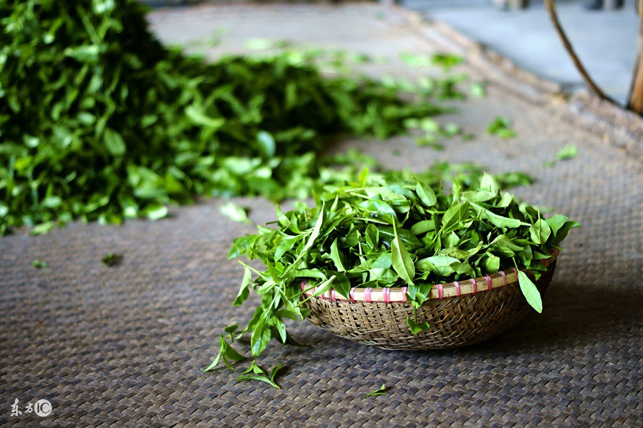 金骏眉茶叶特级正宗高档,金骏眉哪家的茶叶最正宗